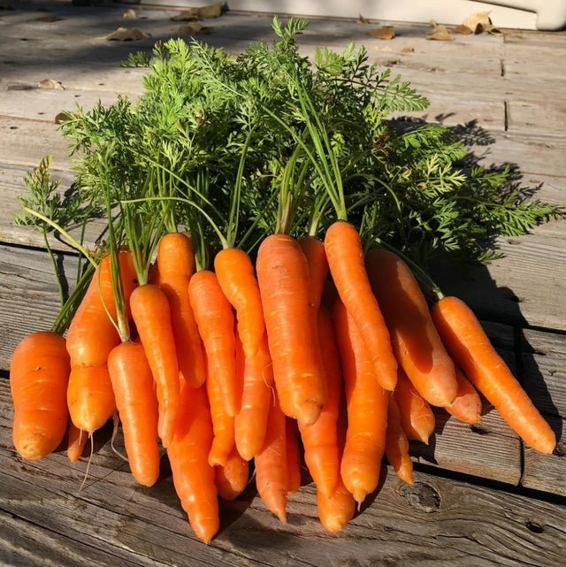 Fresh bunch of Carrot on wood