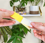 Hands holding a yellow and white striped pest trap with a blurred indoor setting in the background
