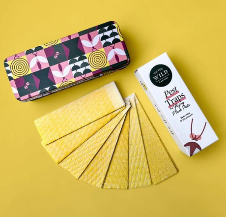 Pest traps with a colorful tin and a box on a yellow background