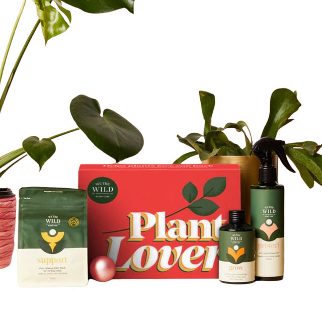 We the Wild plant care essentials pack including a red box labeled 'Plant Lover', bottles wth Support, grow and protect in green and white design 