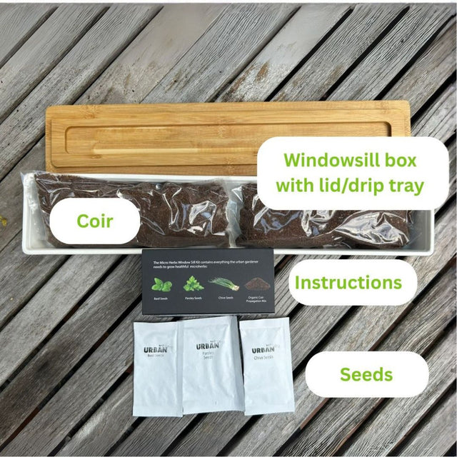 Urban Greens Micro Herbs Windowsill Box Kit