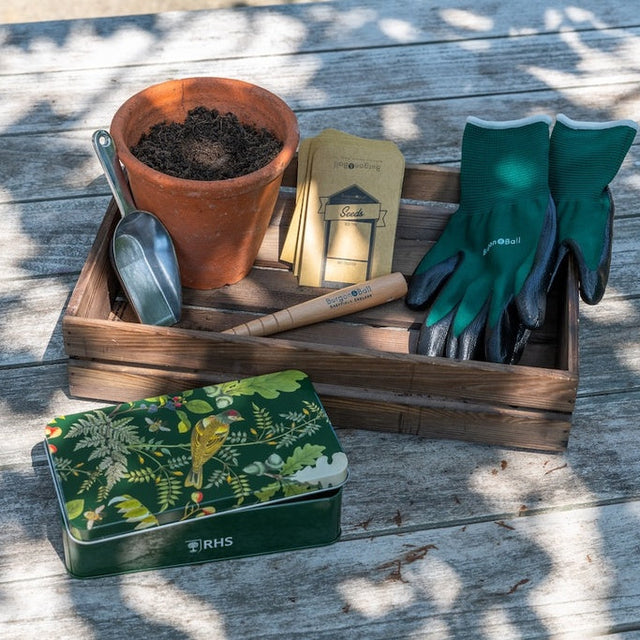 Gardening tools and supplies including a pot, gloves, trowel, and seed packets on a wooden surface.