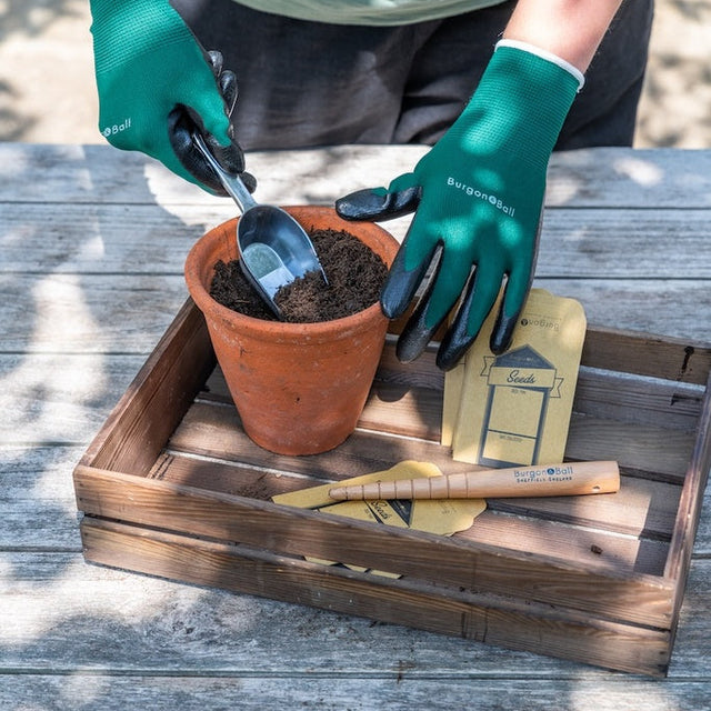 Person wearing green gardening gloves with a potted plant and tools on a wooden tray.