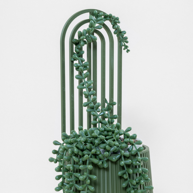 Flourish & Form Plant Trellis (3 Pack)