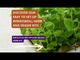 Urban Greens Micro Herbs Windowsill Box Kit