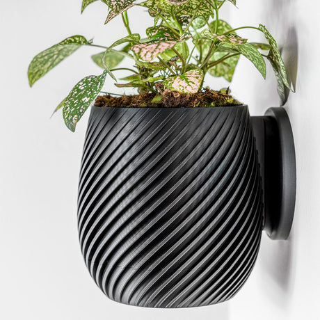 Swirl Wall Planter - 11.4cm